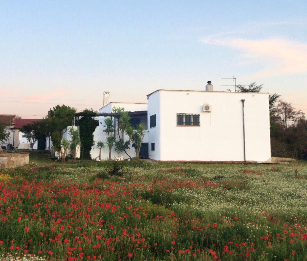 Villa Sara Di Puglia カステッラネータ エクステリア 写真
