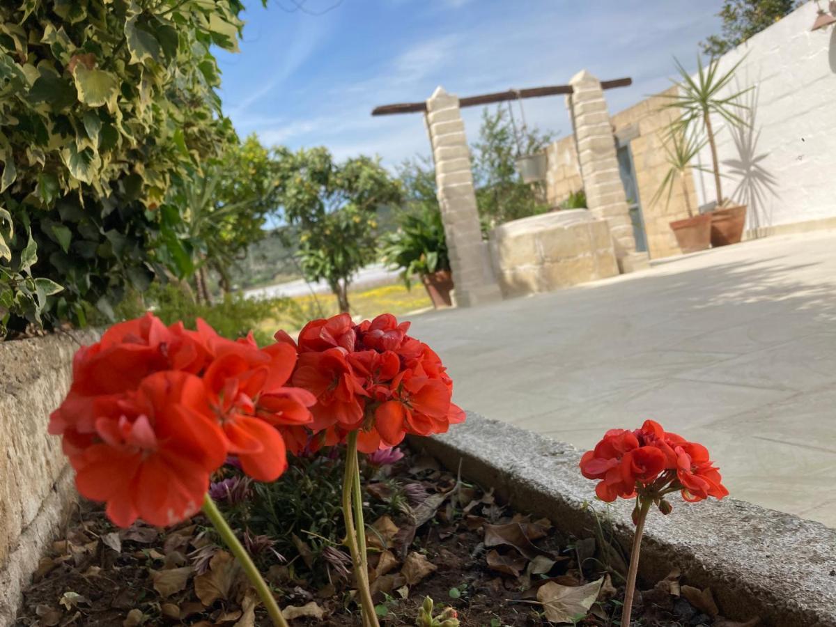 Villa Sara Di Puglia カステッラネータ エクステリア 写真
